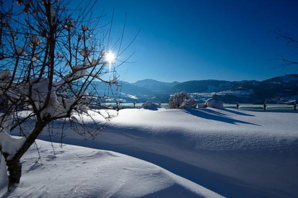 Gasthof Zum Hirsch Görisried Buitenkant foto